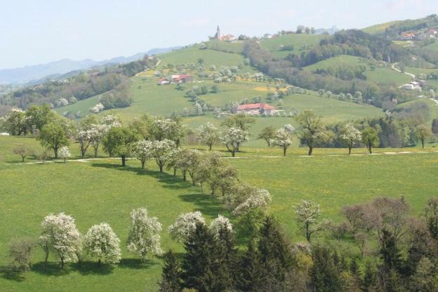 فيلا Weistrachفي Dorferhof المظهر الخارجي الصورة