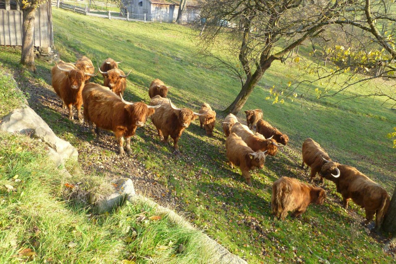 فيلا Dorferhof Weistrach المظهر الخارجي الصورة